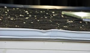 hail damage on a roof