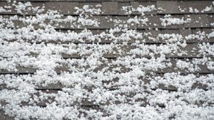 A picture of a roof hail damage on a roof